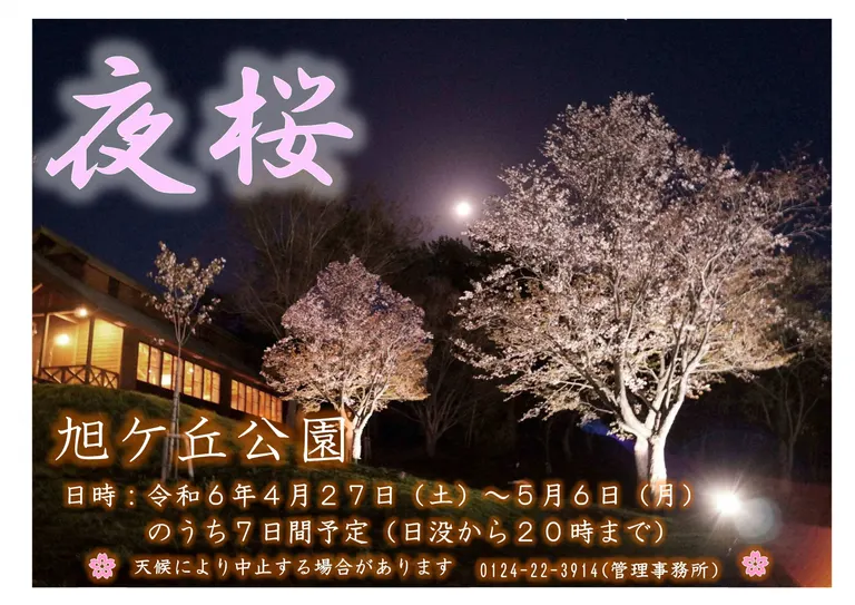 芦別市 旭ヶ丘公園 夜桜ライトアップ｜北海道の「今」をお届け Domingo -ドミンゴ-