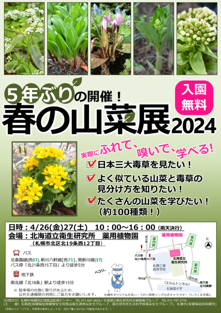 春の山菜展2024｜北海道の「今」をお届け Domingo -ドミンゴ-