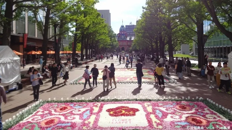 サッポロフラワーカーペット2024(札幌市)| Domingo -ドミンゴ-