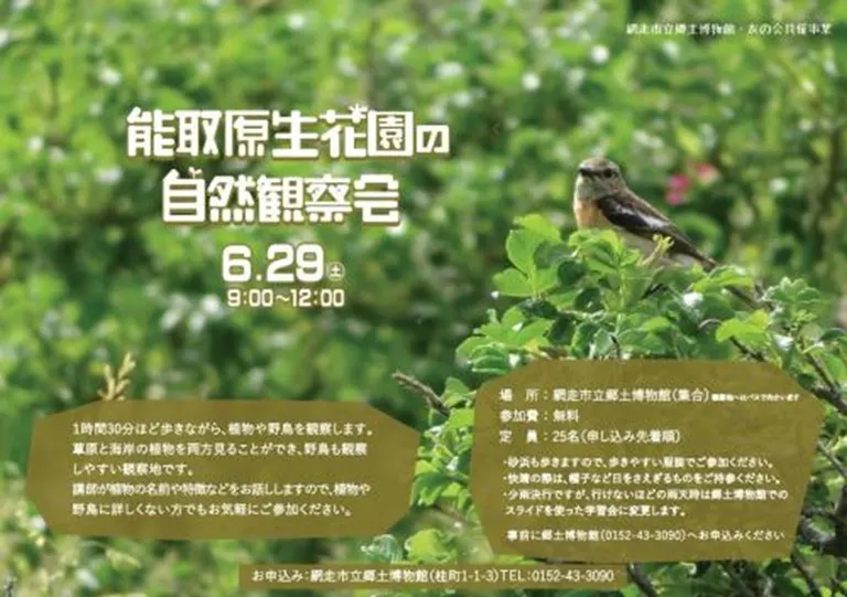 能取原生花園の自然観察会(網走市)| Domingo -ドミンゴ-