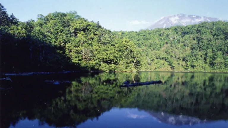 羊蹄山倶知安ひらふ登山コース開き・半月湖開き｜北海道の「今」をお届け Domingo -ドミンゴ-