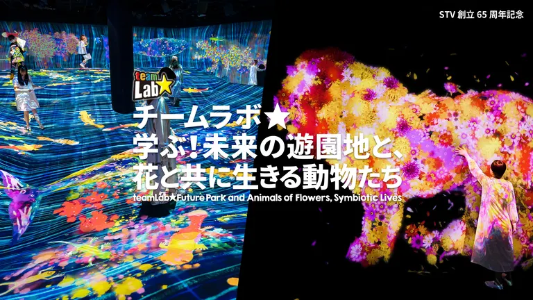 STV創立65周年 チームラボ 学ぶ!未来の遊園地と、花と共に生きる動物たち(札幌市)| Domingo -ドミンゴ-