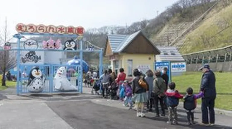 市立室蘭水族館 オープン｜北海道の「今」をお届け Domingo -ドミンゴ-
