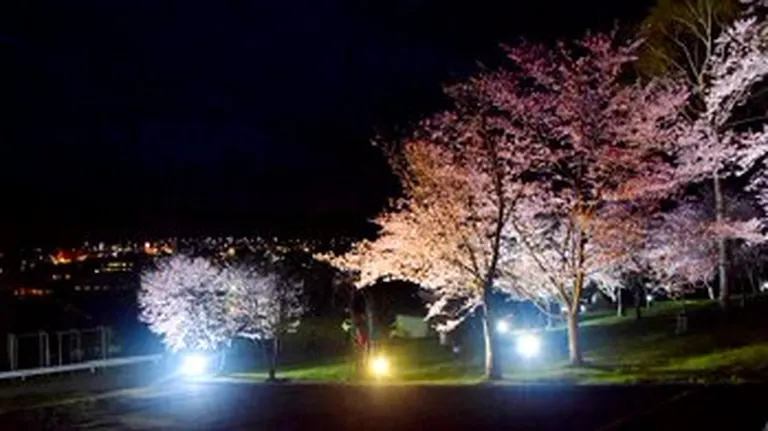 旭ヶ丘公園 開園｜北海道の「今」をお届け Domingo -ドミンゴ-