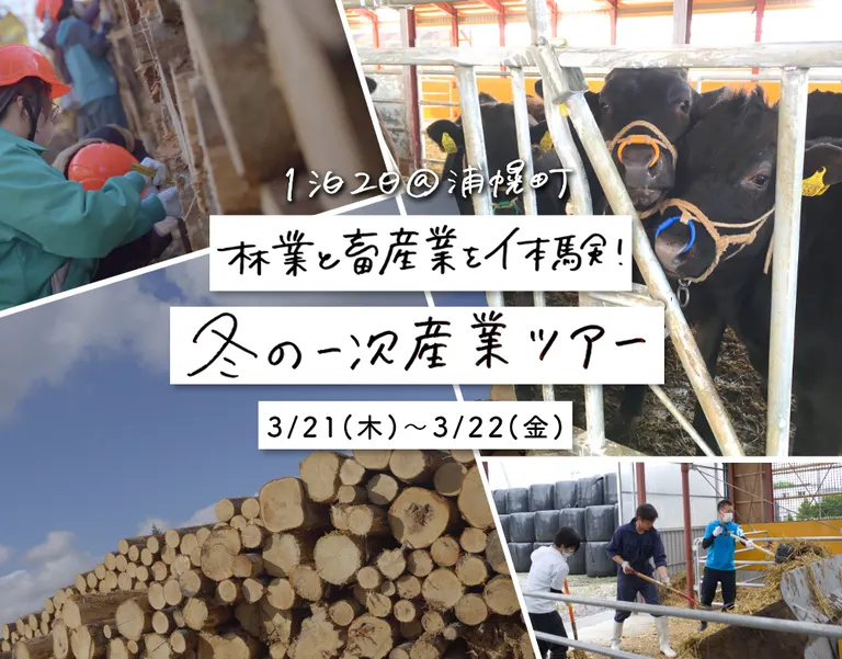 林業と畜産業を体験！冬の一次産業ツアー｜北海道の「今」をお届け Domingo -ドミンゴ-