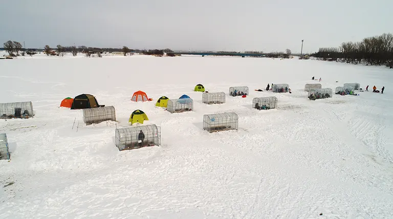冬は氷の上でワカサギ釣りを楽しもう！北海道の氷上ワカサギ釣りスポット8選｜Domingo