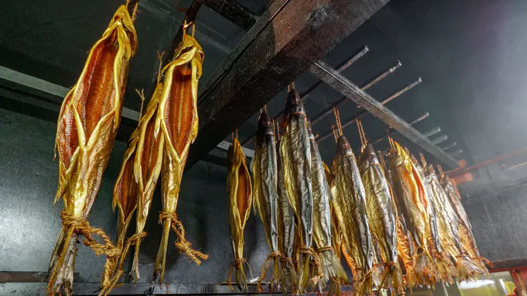 にしんやほっけ、鮭の燻製が絶品！「北海道ならでは」の燻製を食べるなら余市のここ！｜Domingo