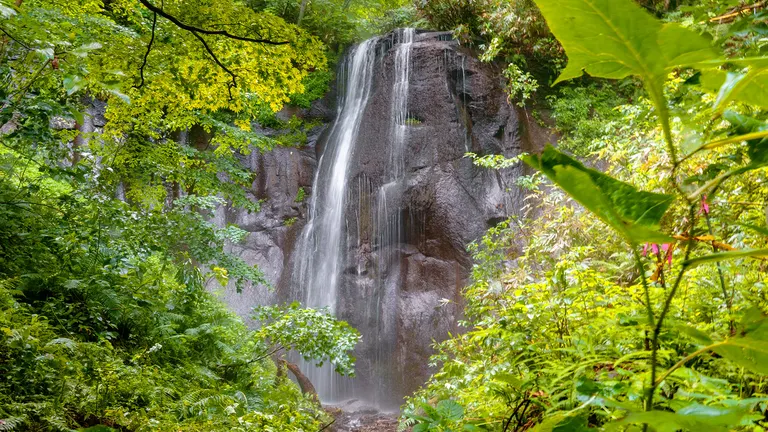 水しぶきを浴びながら絶景ハイキング！黒い岩肌を流れる美しい「有明の滝」｜Domingo