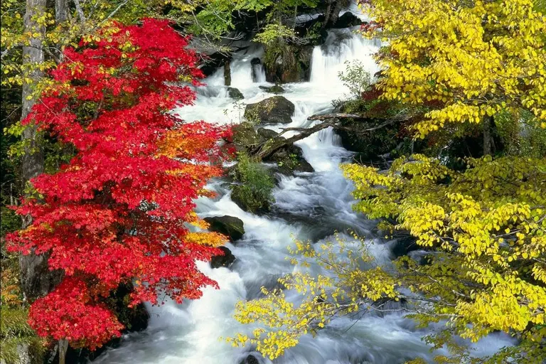 北海道の秋を満喫するならここ!紅葉おすすめスポット道東エリア5選+1!|Domingo