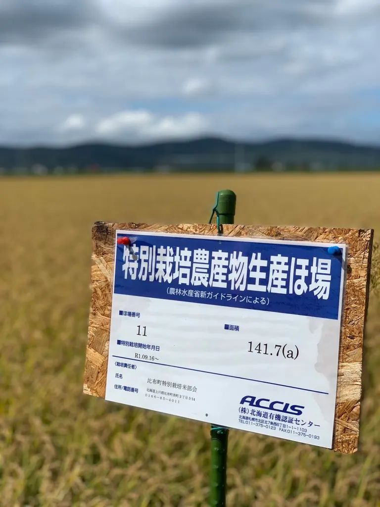 特別栽培米圃場