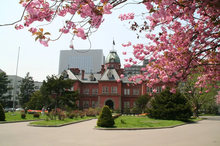 【札幌近郊】おすすめ桜スポット11選・観光と花見が一緒に楽しめる！｜Domingo