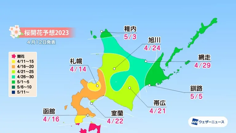 北海道の桜開花・満開予想 2023【随時更新】｜Domingo