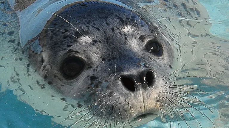 おたる水族館