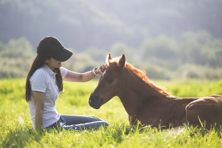“人と馬と幸せな牧場を創りたい” リアルワイルドな道東でチャレンジする新しい牧場「Heart Ranch」｜Domingo