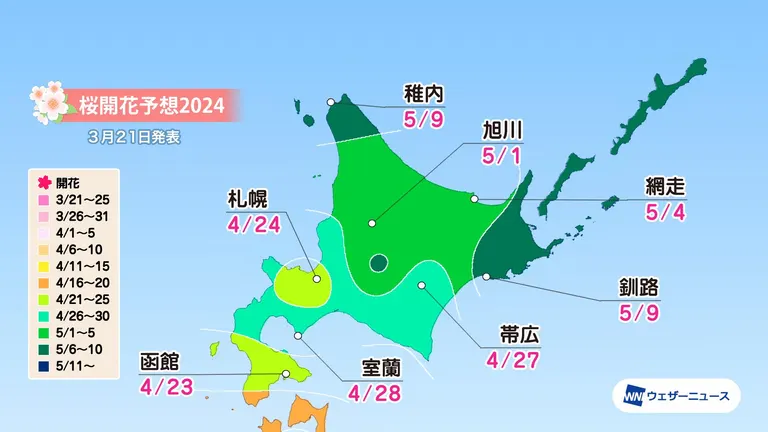北海道の桜開花・満開予想 2024【随時更新】｜Domingo