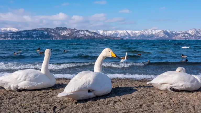 北海道の冬