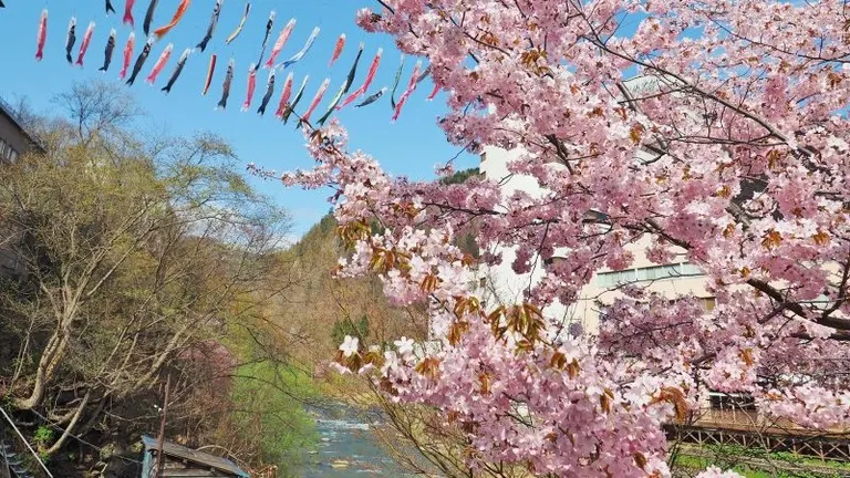 春を楽しむ！北海道のおすすめイベント9選【2024年4月】｜Domingo