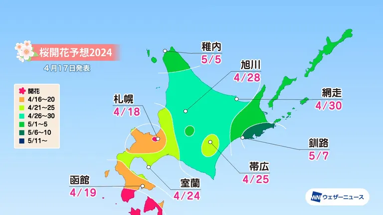 北海道の桜開花・満開予想 2024【随時更新】｜Domingo
