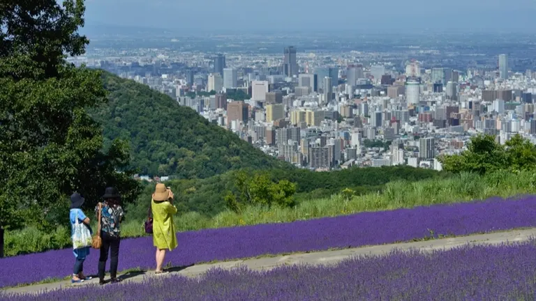 Horomitoge Observation Parking Lot / Horomitoge Lavender Garden