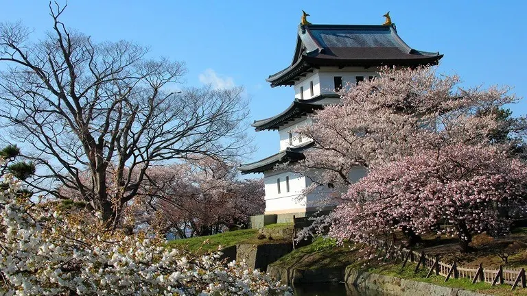 春の行楽を楽しむ！北海道のおすすめイベント10選【2024年5月】｜Domingo