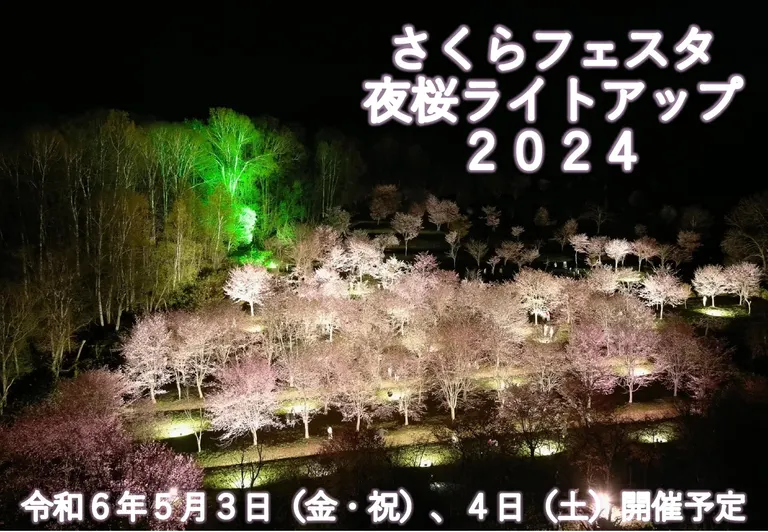 さくらフェスタ・夜桜ライトアップ 2024