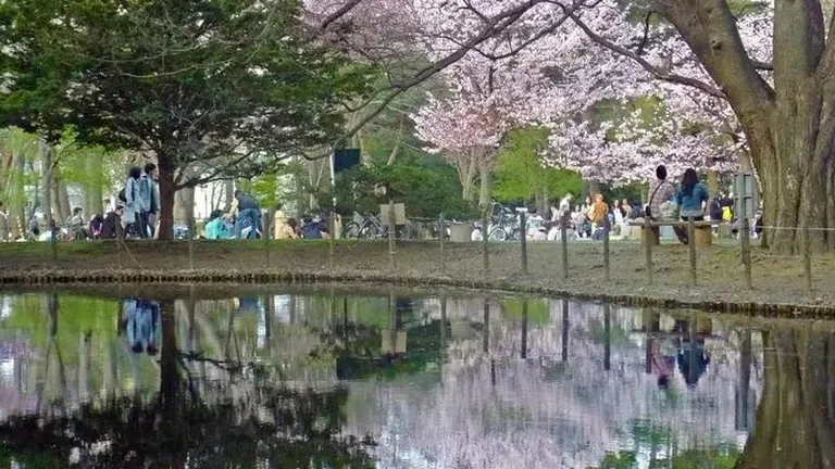 円山公園