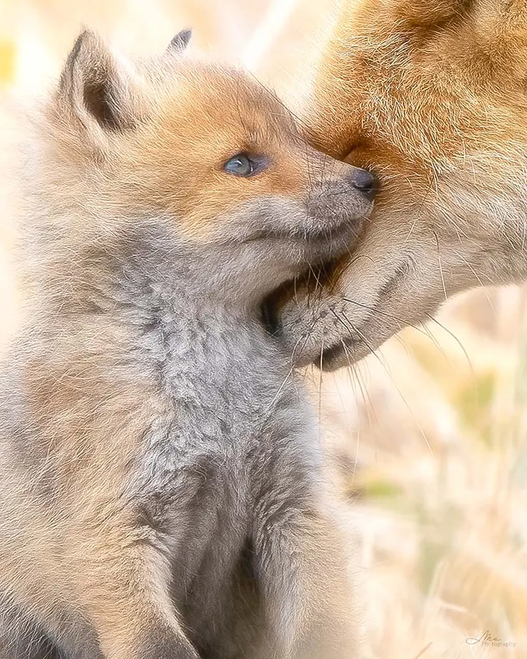 まりこさんの撮影写真