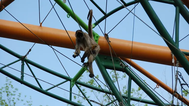 旭山動物園