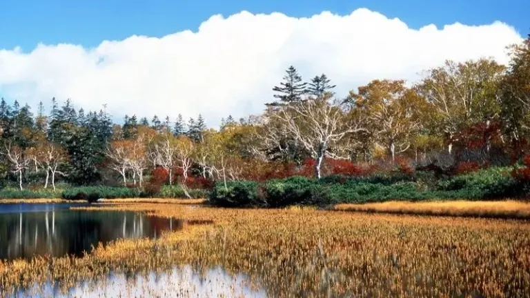 神仙沼自然休養林