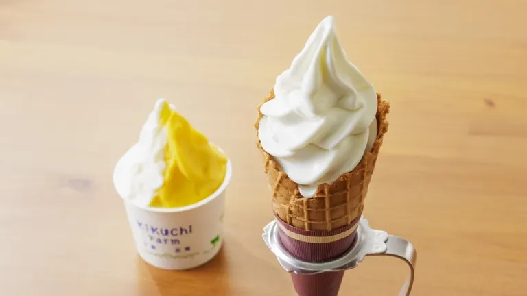 Kikuchi Farm cafe" in Hiroo-cho, Tokachi, boasts of its special soft-serve ice cream and gelato, and is a "sixth-generation cafe" where you can spend time while looking out over a vast pasture.｜Domingo