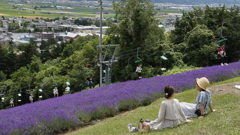 Hokuseiyama Lavender Garden