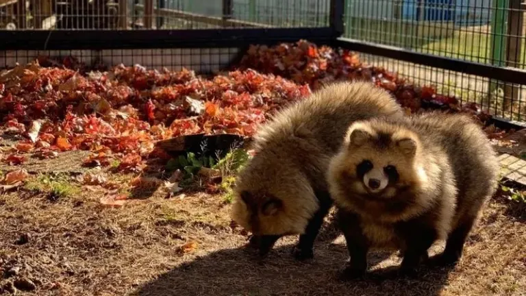 おびひろ動物園