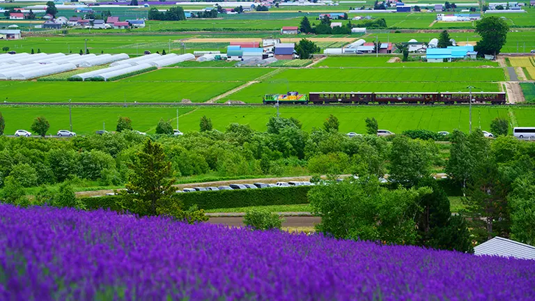 ノロッコ号