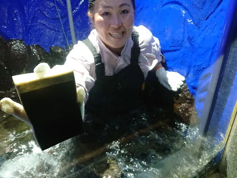 室蘭民浦大家水族館