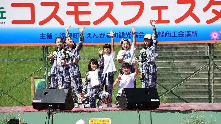 太陽の丘コスモスフェスタ