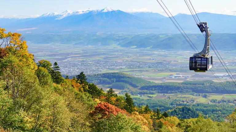 富良野索道