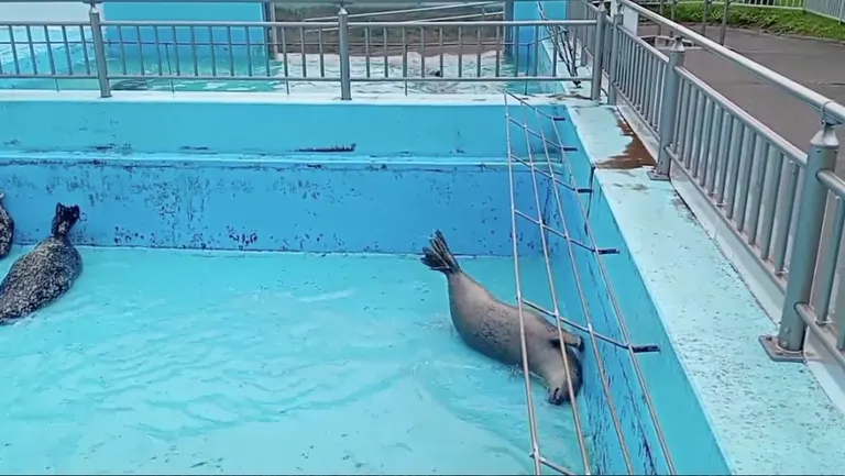 室兰民浦大家水族馆