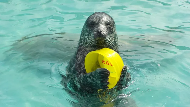 室兰民浦大家水族馆