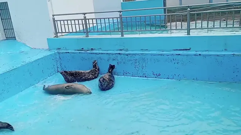 室蘭民浦大家水族館