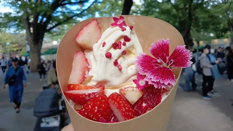 Editor's recommendation! Three must-try sweets at Sapporo Autumn Fest 2024｜Domingo