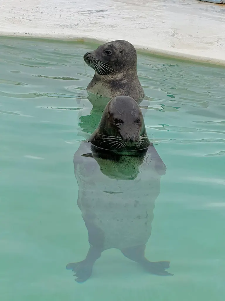 小樽水族馆