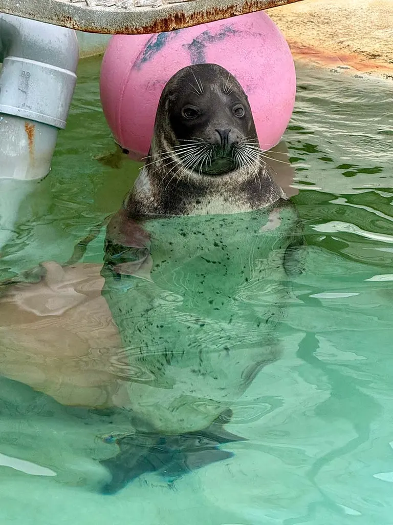 小樽水族館