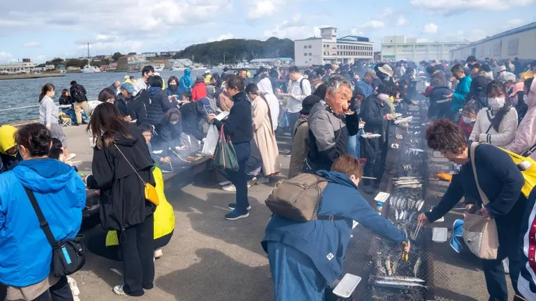 根室秋刀魚節