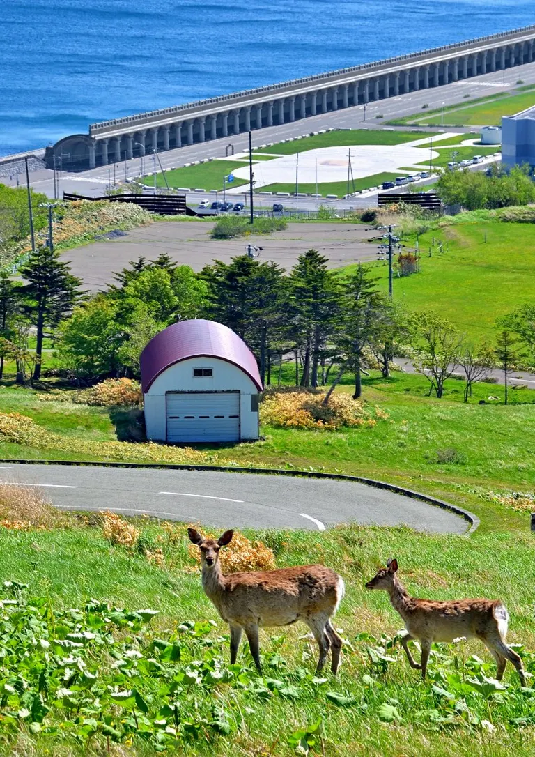 北海道遺産フォト＆短歌チャレンジ2024