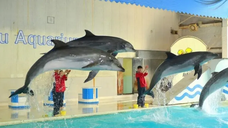 小樽水族馆