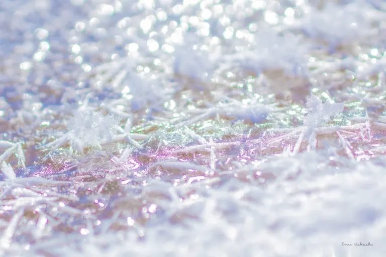 Frost Flowers of Lake Utonai