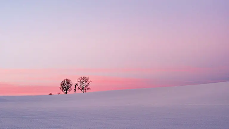 Winter Biei photos become a hot topic for being &quot;too beautiful&quot; → The photographer is aspiring to be a farmer to protect the scenery, &quot;I want to be one of the people who create the landscape of this hill&quot;｜Domingo