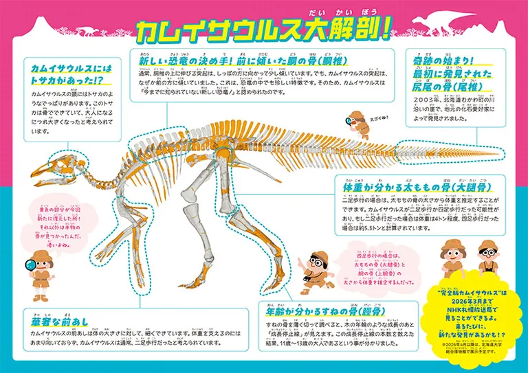 カムイサウルス春休み特別展