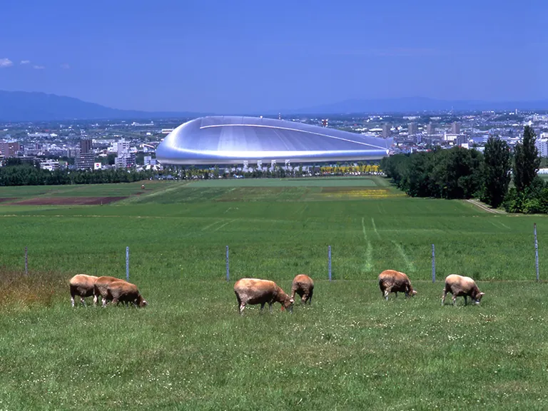 Premist Dome_Access