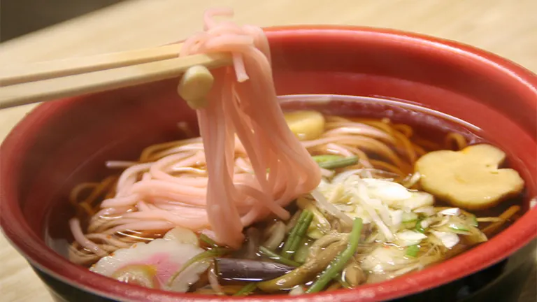 平冈梅花节